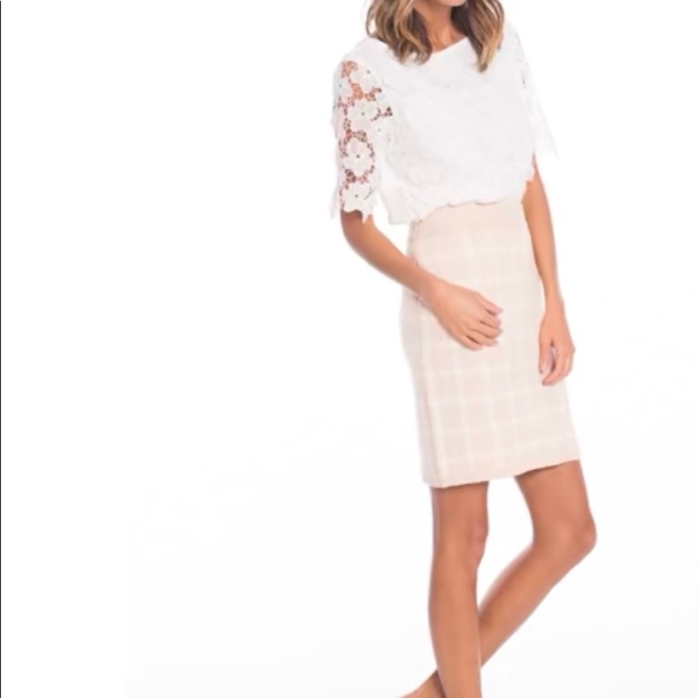 NWOT English Factory Pink and white skirt - Picture 4 of 11
